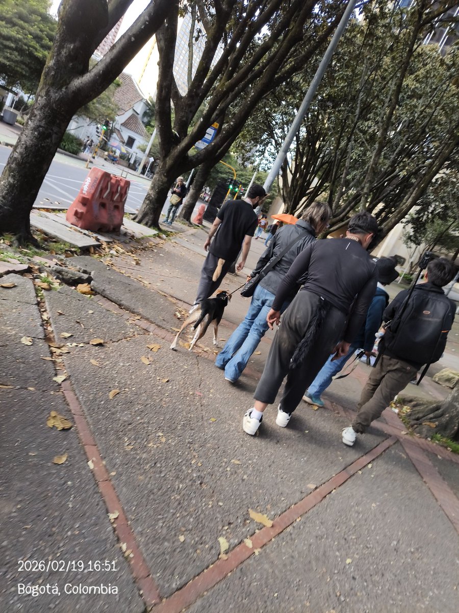brayancastg_'s tweet photo. Venga, para aquellos que siguen esa absurda tendencia de los Therian, que me parece una completa tontería, en verdad, ya se les zafó un tornillo a esos πrobos que me encontré esta tarde en el Parque Bicentenario... https://t.co/mlZp5TdzGq