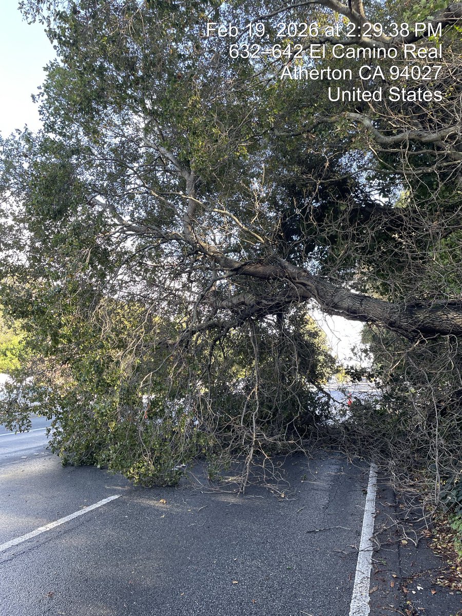 CaltransD4's tweet image. Tree is down on SR-82 at Valparaiso Ave in Atherton, blocking lanes. Crews estimate ~3 hours for removal . @CityofMenloPark  @sanmateoco #ECR