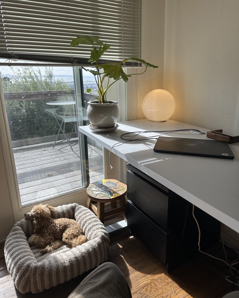 hope hopes hoping tweet media