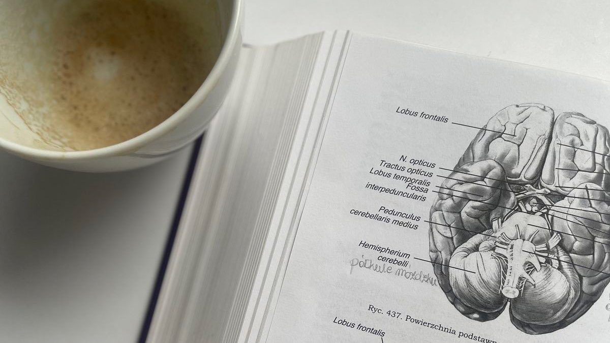 but what will we do when we’re sober? tweet media