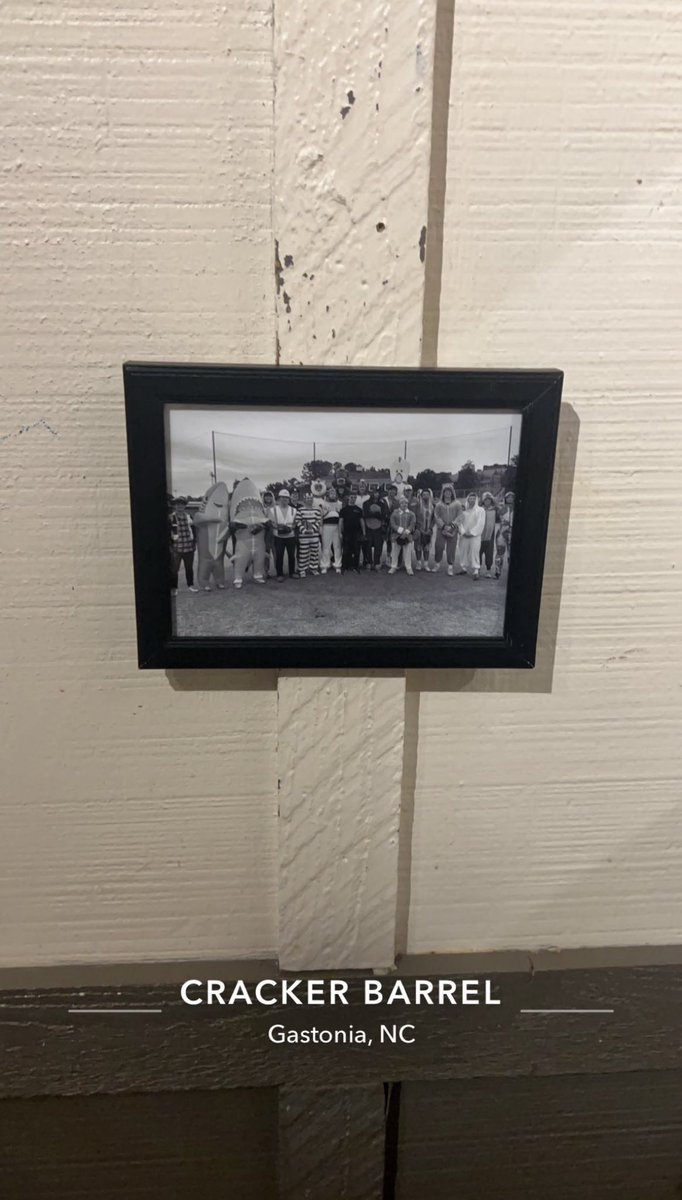 Will Marquart tweet media