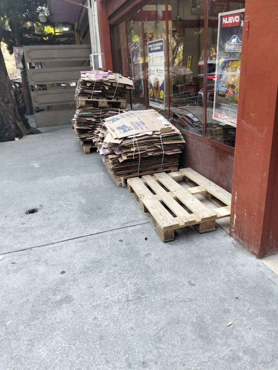 Oscar Salgado tweet media