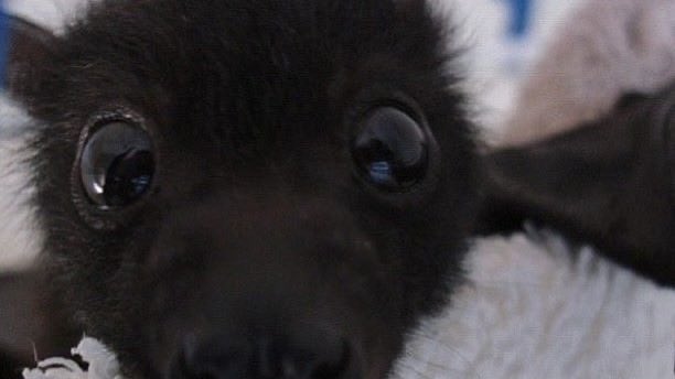 em ⋆˚࿔ tweet media