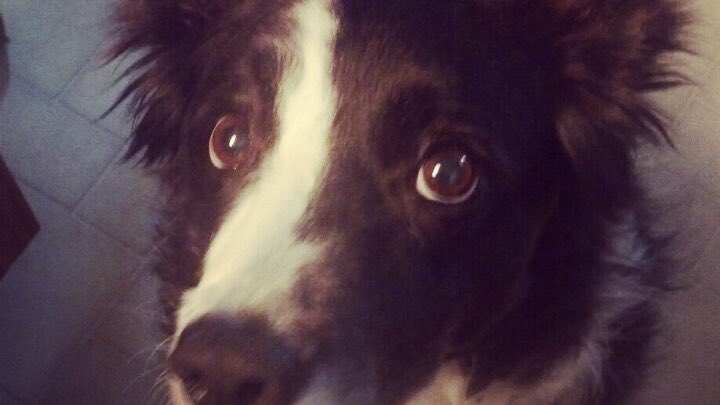 em ⋆˚࿔ tweet media