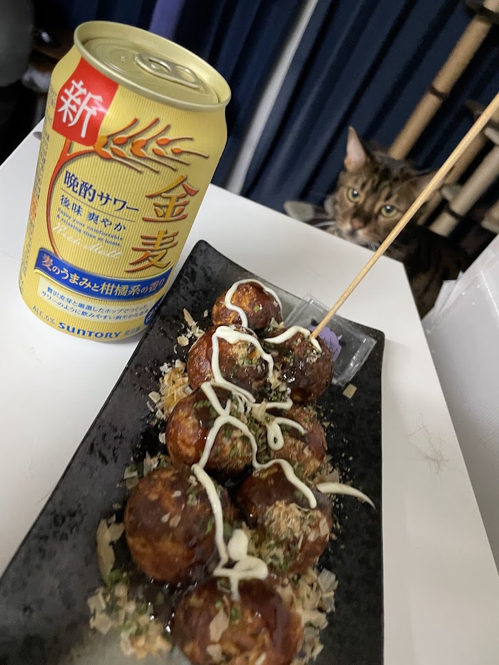 #雨庭もふ活
サメはどこにでも現れるよ