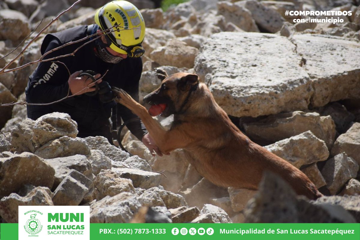 🤝🐕 Colaboración interinstitucional para el fortalecimiento de capacidades de búsqueda y rescate. 

En esta oportunidad, se facilitó el uso del predio municipal ubicado en el sector de San José para el desarrollo de entrenamientos operativos de la ASOMBOMB.