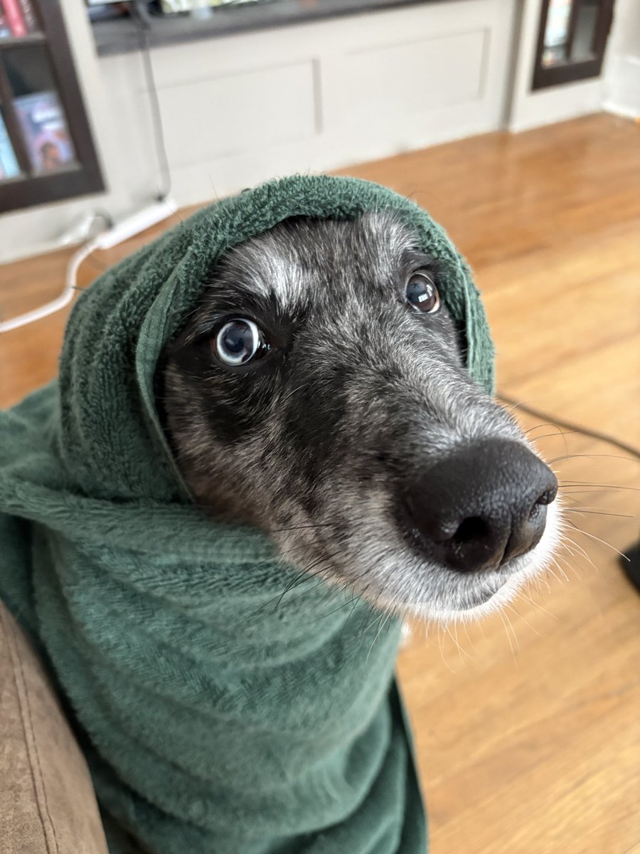 My dog has been limping lately so we took her to the vet and she has arthritis…. 😞 so fucking bummed… she such a good girl.. she doesn’t deserve this