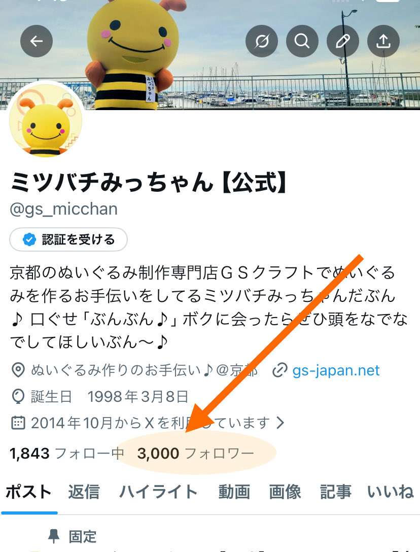 ミツバチみっちゃん【公式】 (@gs_micchan) / Posts / X