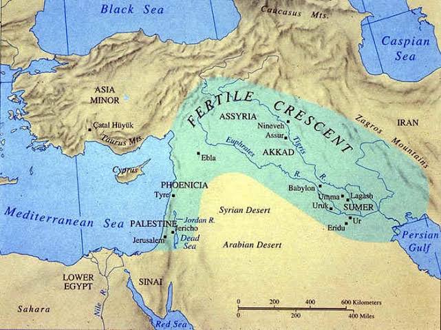 Archaeo - Histories tweet media