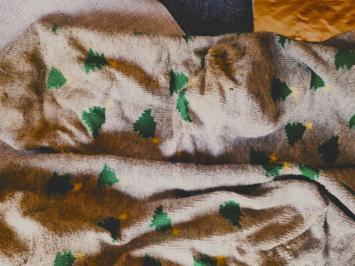 #nylonsocks #socks #Socken #anklesocks #smellysocks #toes #soles #grand