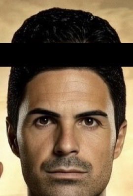 SAF Goose tweet media