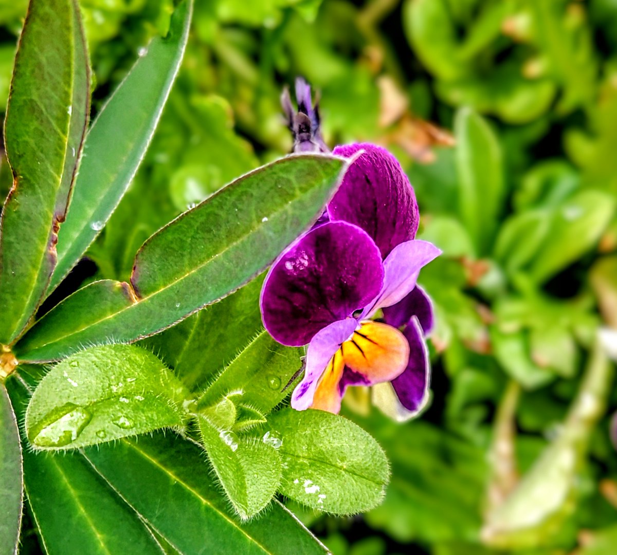 💝💝クリック魔法💝💝