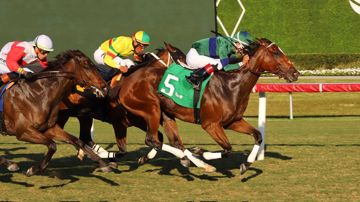 Gulfstream Park tweet media