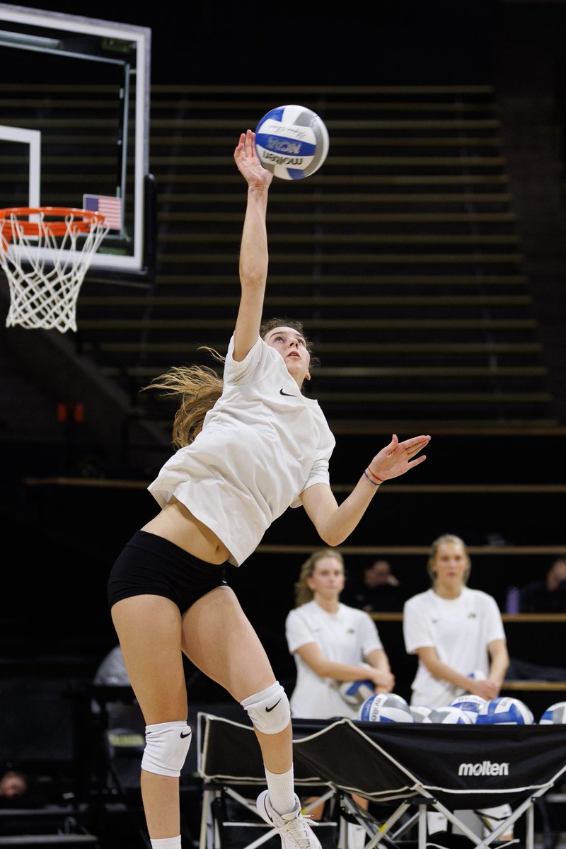 Colorado Buffaloes Volleyball tweet media