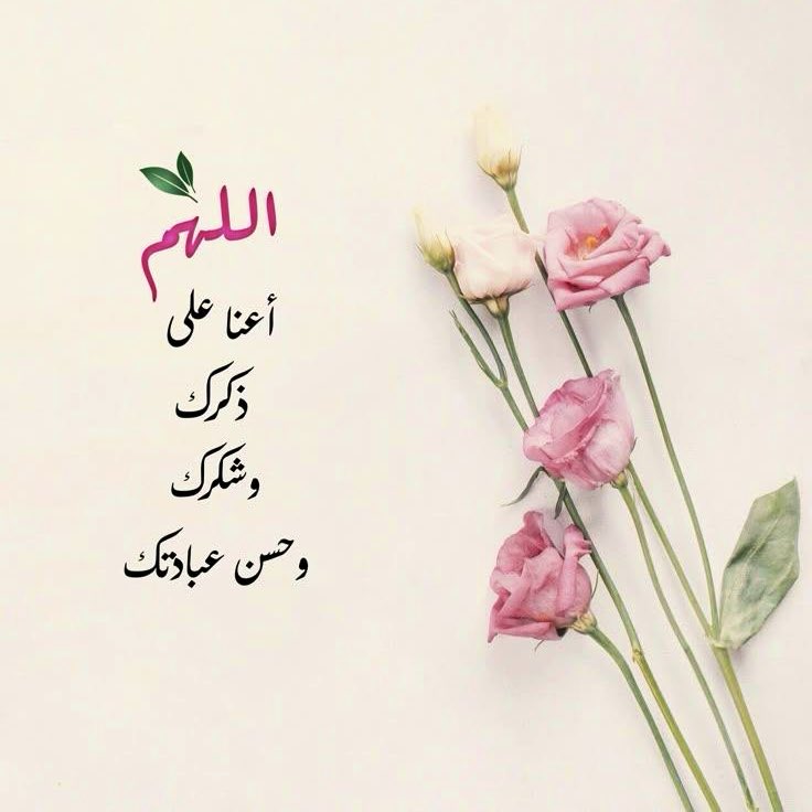 …🔖…

اللهم لُطفك بقلوبنا وأحوالنا وأيامنا ، اللهم تولّنا بسعتك وعظيم فضلك ..🤍

#رمضان🌙
#اذكروا_الله_يذكركم 
#ليلة_الجمعه