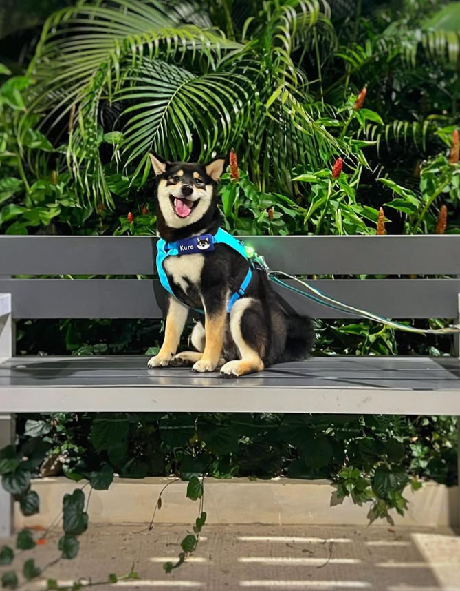 How do we say always. The Run comes Unexpected. Imagine everythign runs as EXPECTED. Wouldnt we all be Millionaires and Billionaires? 

Stop following broke people with broke mindset. 
Conviction wins always. You cant have conviction at every play. Thats for sure. Not every Meme