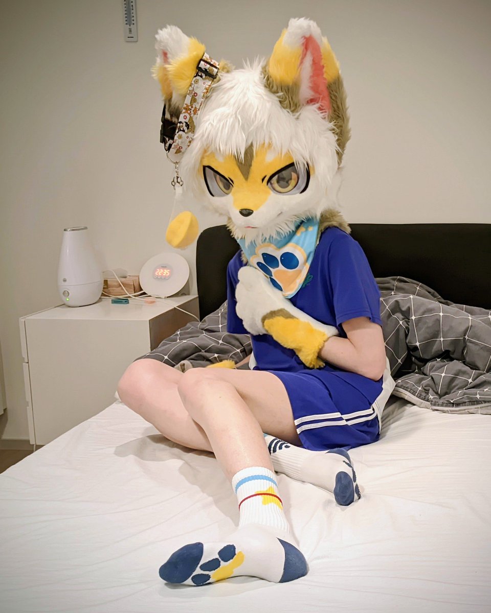 Starfruit🐺 tweet media