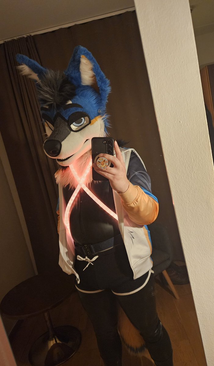 Caution: Jackal in heat! tweet media