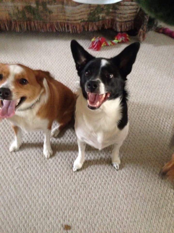 <a href="/annabnan_/">anna 🤠</a> just 2 actual sweet baby angels