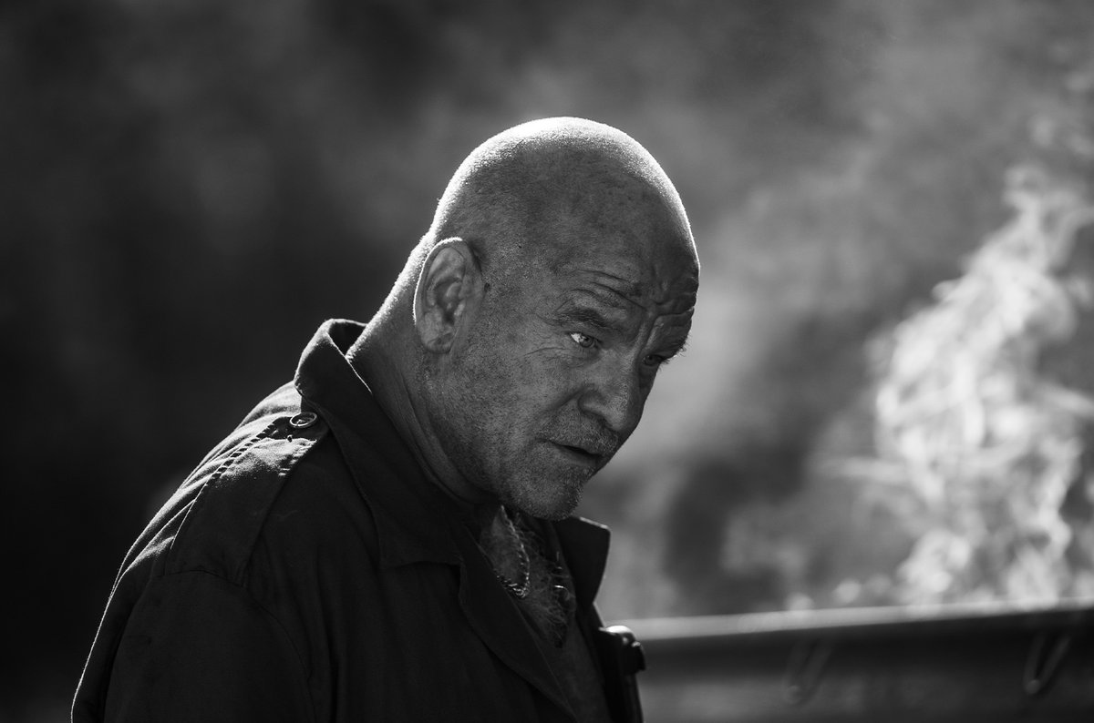 QuiverDistribution tweet media