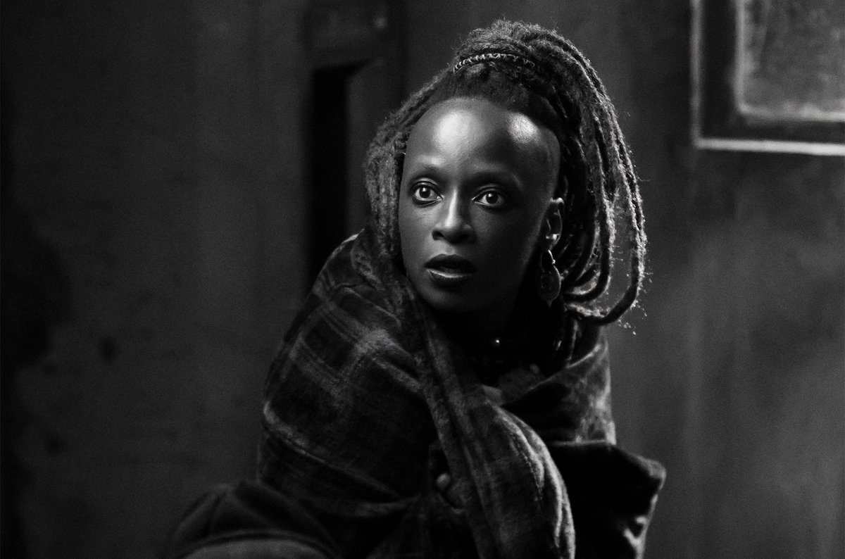 QuiverDistribution tweet media