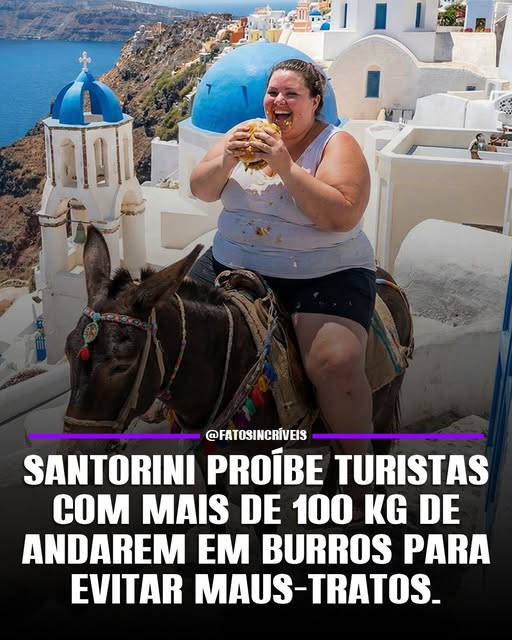 0C0RV0's tweet photo. 😂😂😂😂😂😂😂😂😂😂😂😂😂
Adorei a proibição https://t.co/oqz4sAlcjJ