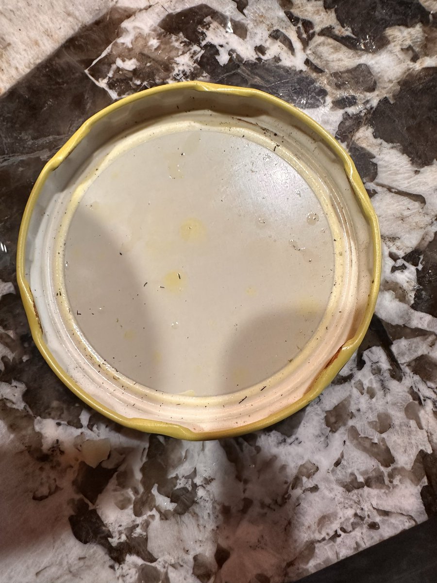 Mattyb1208's tweet photo. Brand new jar of pickles opened and the lid seems to have hair and dirt on the inside. @MtOlivePickles what are we doing here? https://t.co/4nbycgOr5t