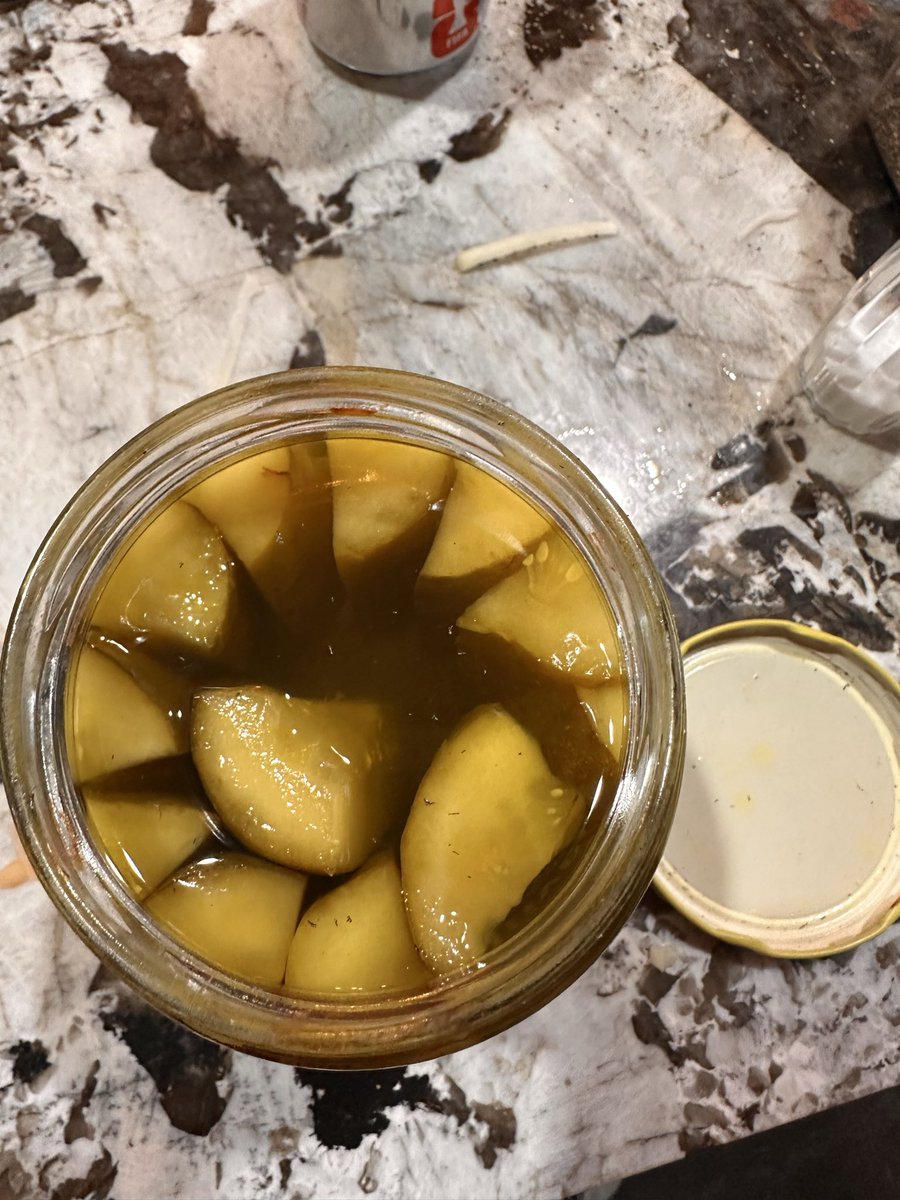 Mattyb1208's tweet photo. Brand new jar of pickles opened and the lid seems to have hair and dirt on the inside. @MtOlivePickles what are we doing here? https://t.co/4nbycgOr5t