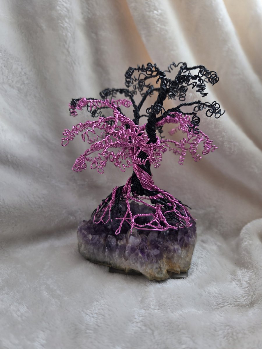 Shawn Fisher-graves tweet media