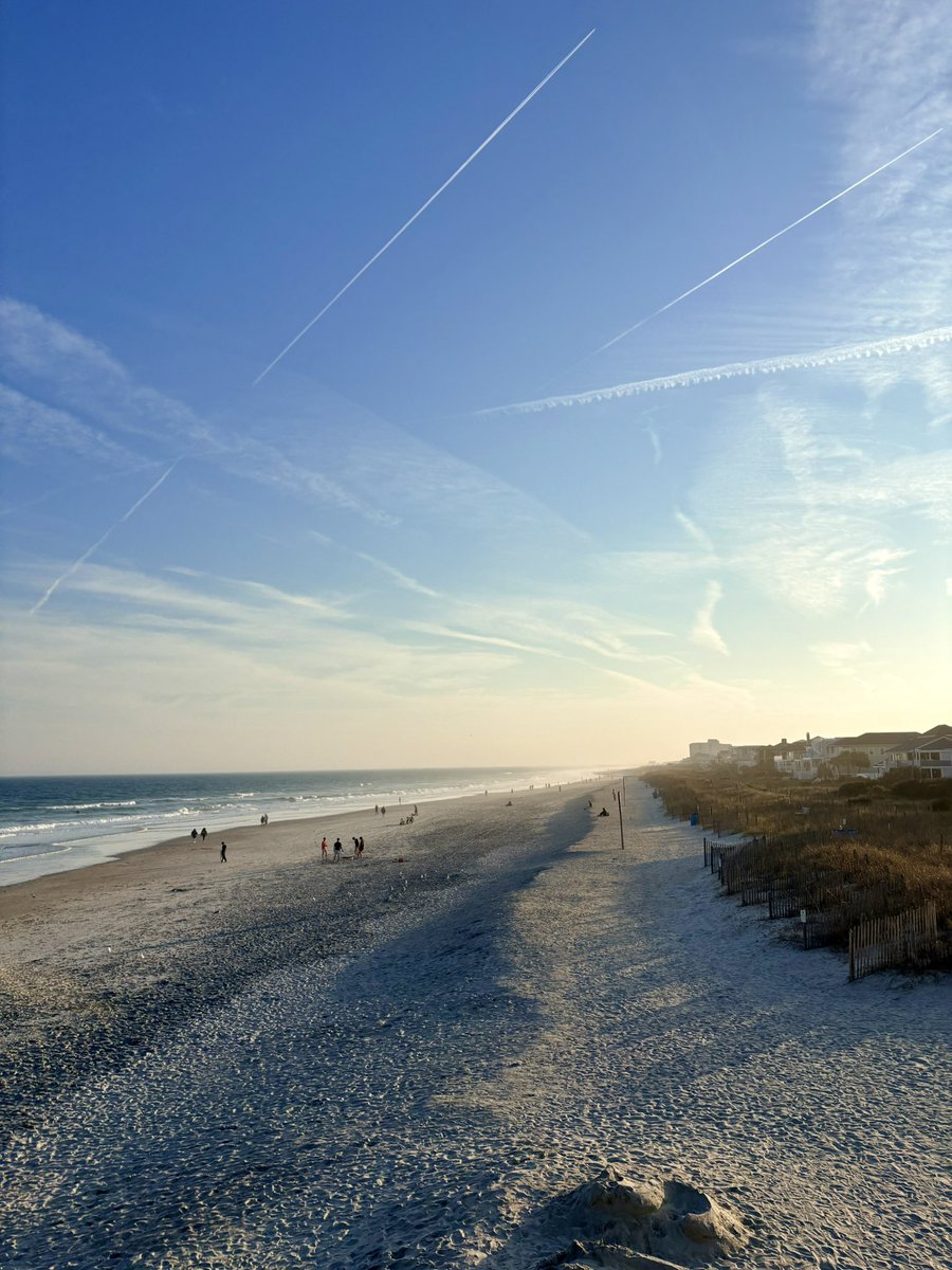 the dog does love where he lives tho