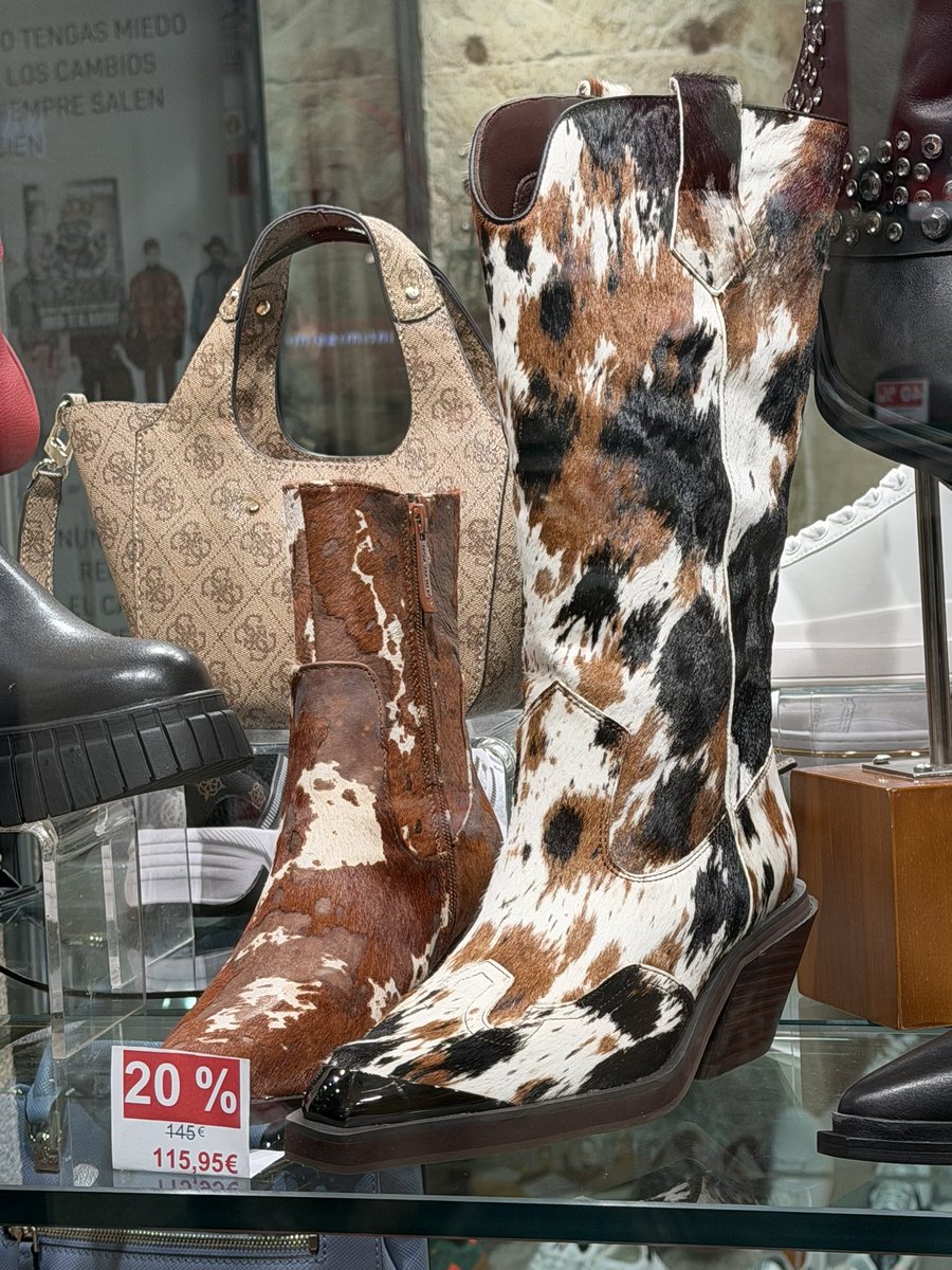 Diosa Anni🦈 tweet media