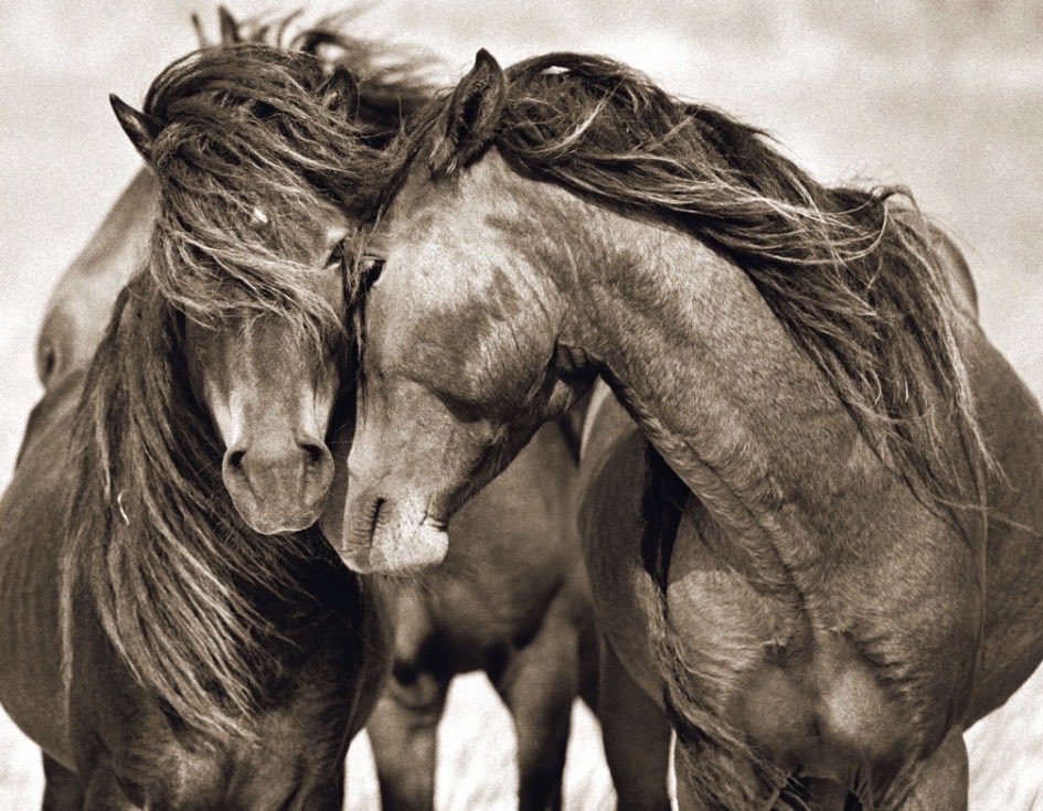 facebook.com/stories/149530…

🧧

#GungHayFatChoy
 #HappyLunarNewYear