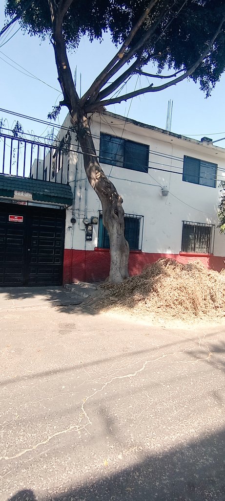 ChioCpdas's tweet photo. @AzcapotzalcoMx @SOBSECDMX @NancyNunezmx por favor su atención, desde hace 15 días vinieron a podar árboles y no se han llevado las hojas y ramas, con el calor es un riesgo muy grande
Ubicación Poniente 74, No. 45 Col. Santa Apolonia C. P. 02790 Azcapotzalco @Azcapo_Denuncia https://t.co/C85ClW1KwV
