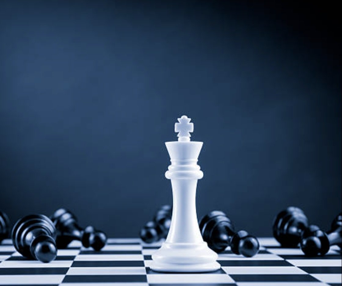 $CamelToe by Digital Palm tweet media