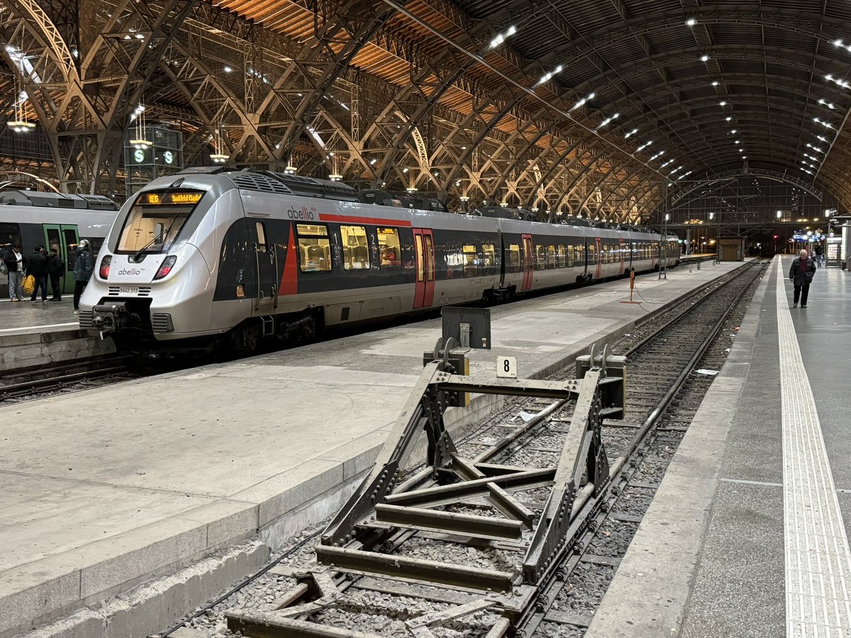 TheMeerkatExpress tweet media