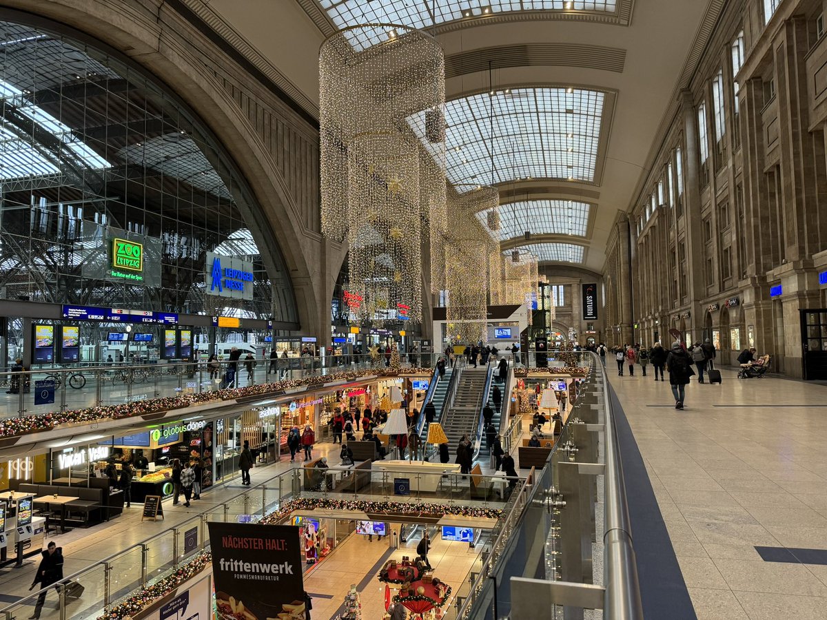 TheMeerkatExpress tweet media