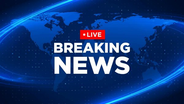 OLUWATOSIN tweet media