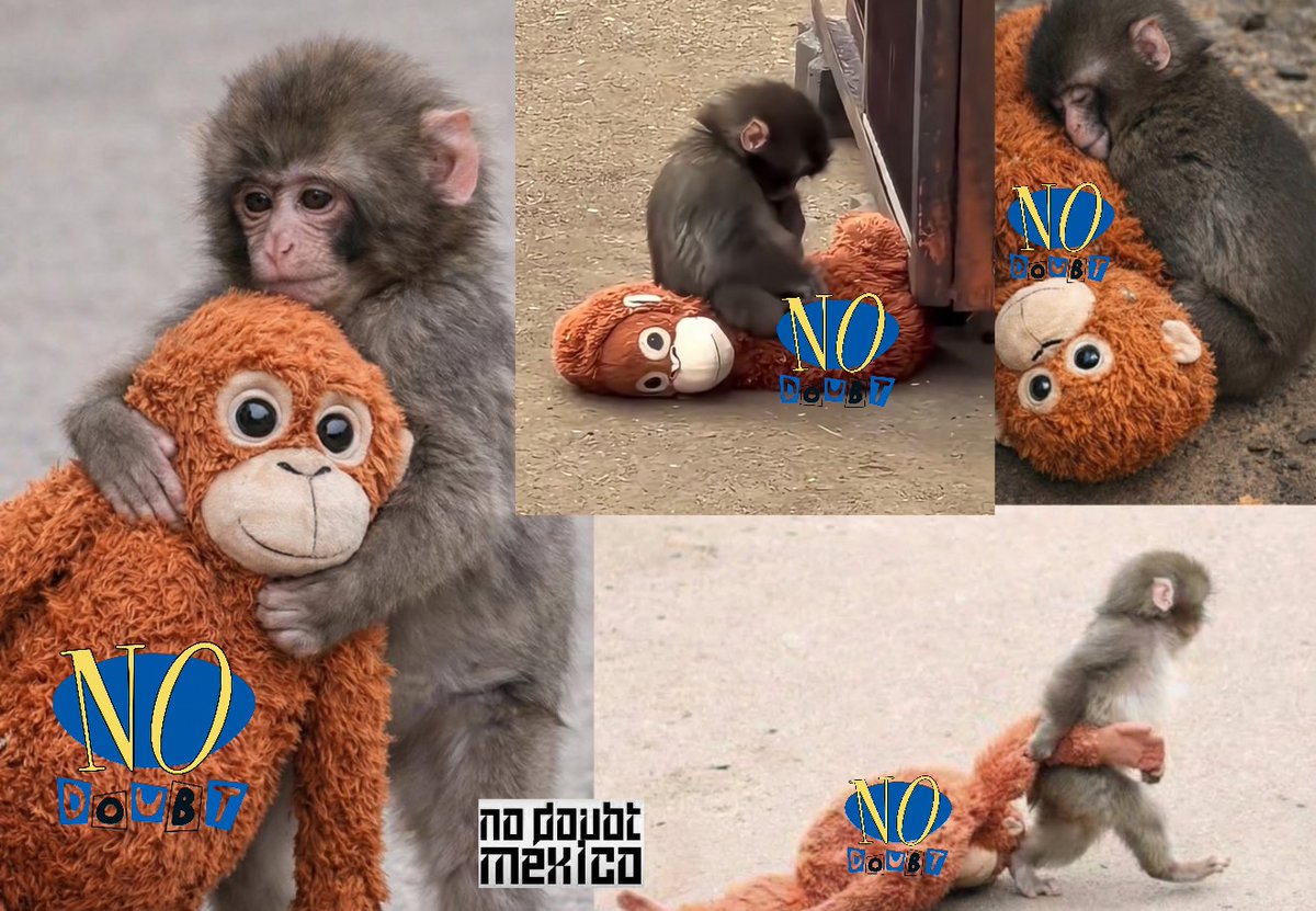 NoDoubtMexico's tweet image. Gracias @nodoubt por estar siempre conmigo 🥹
#punch
#NoDoubt