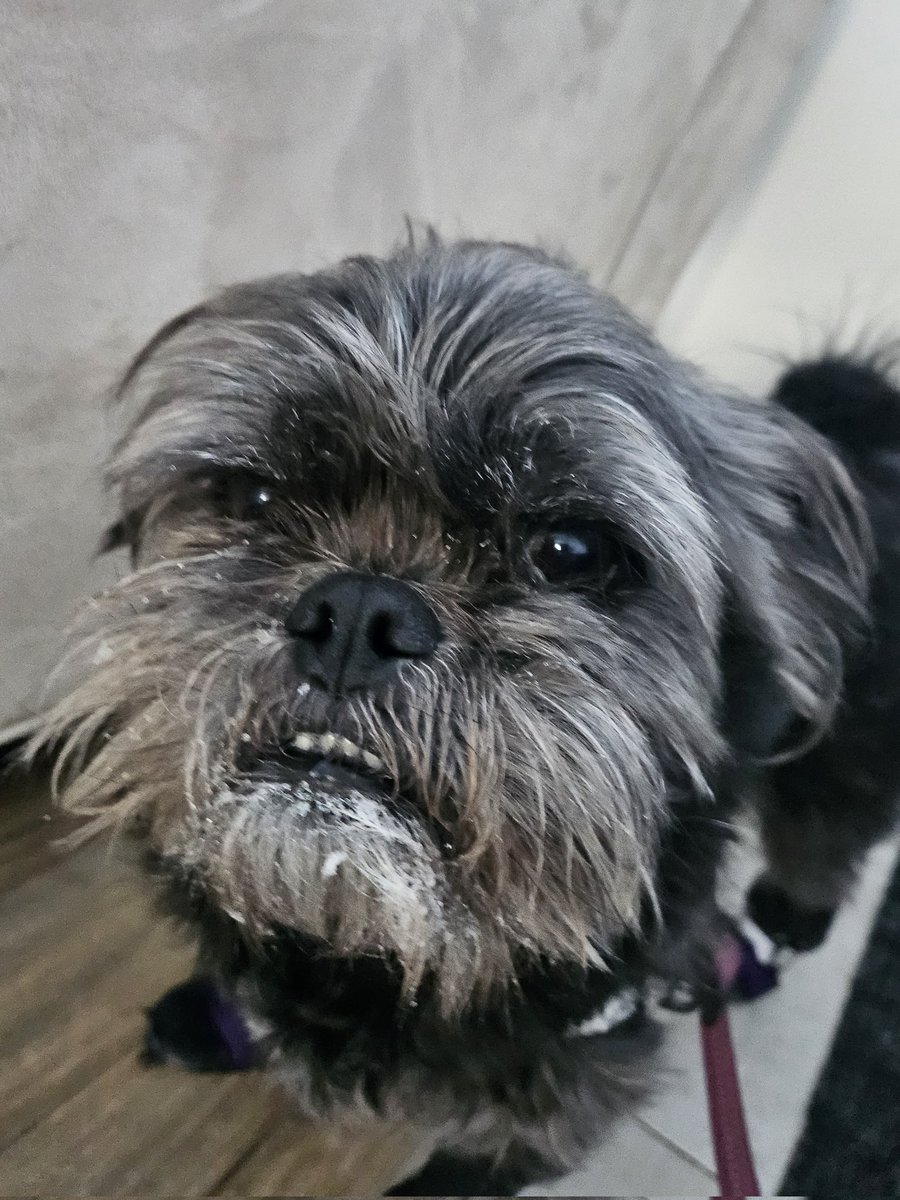 Kinda Sav tweet media