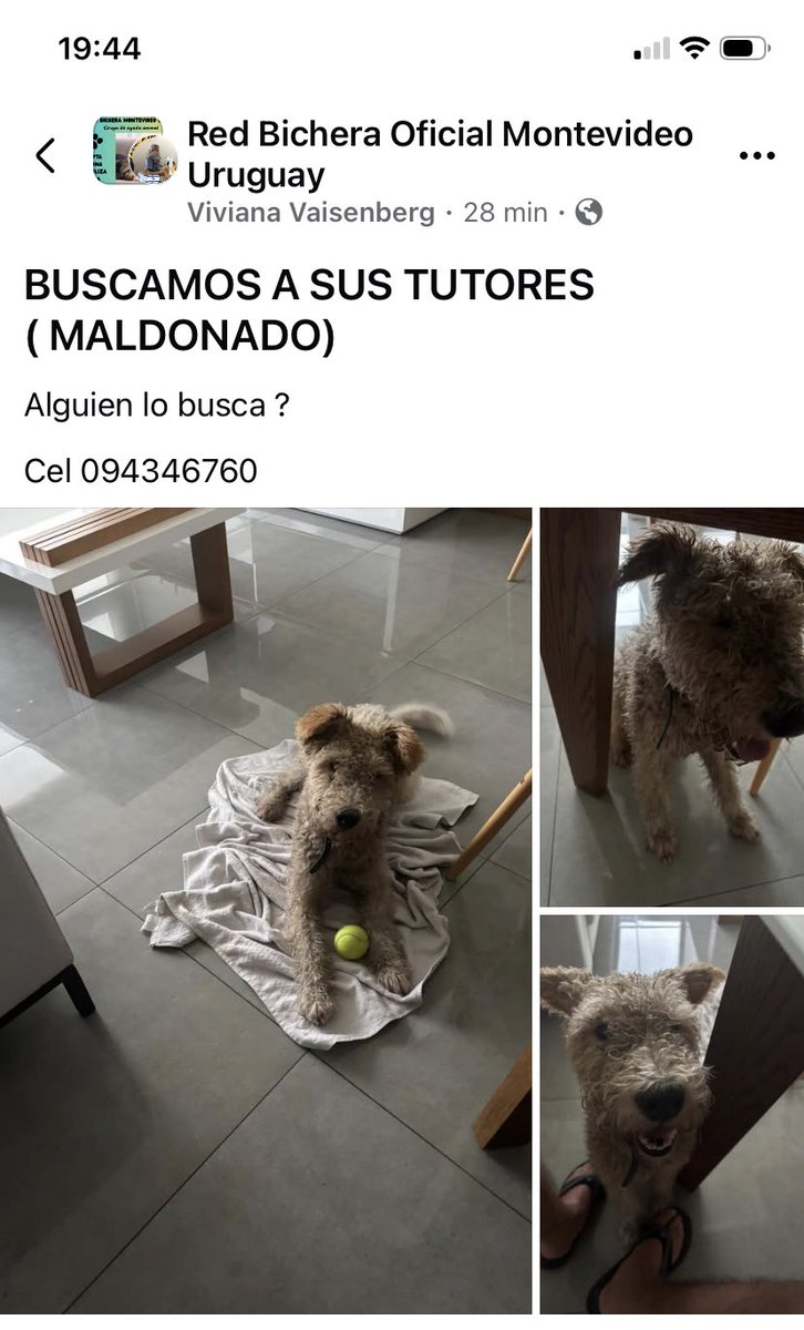 Adriana (@adriana43587622) on Twitter photo 