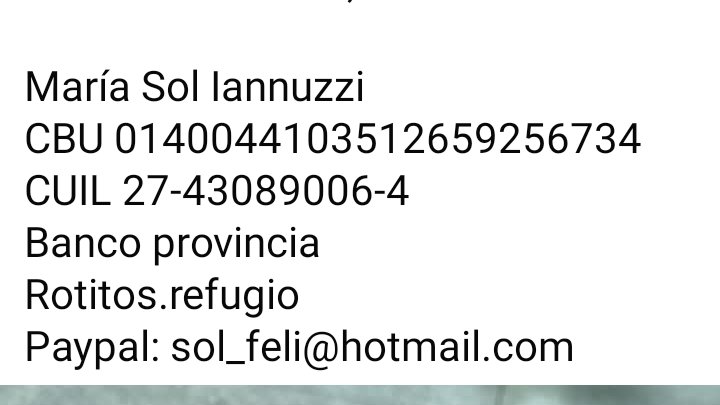 LA PEQUEÑA ALELI, CACHORRITA RESCATADA CON MOQUILLO, INTERNADA, NECESITA TRANSFUSION PARA INTENTAR SALVAR SU VIDA😥🙏 AYUDA PARA REFUGIO ROTITOS DE ALMA DE MORENO❗️EL GASTO ES ENORME y su hermanita ahora tiene síntomas también💔
facebook.com/share/p/18CMAg…
facebook.com/share/p/18CMAg…