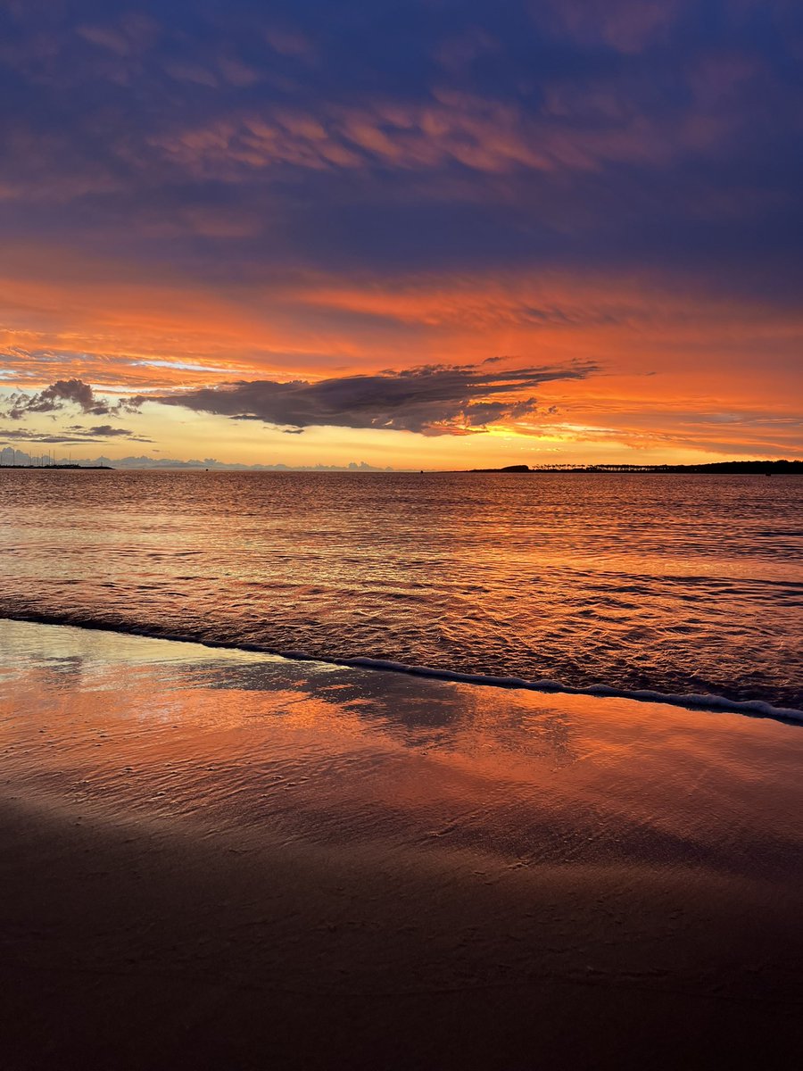 Carol 🦋 tweet media