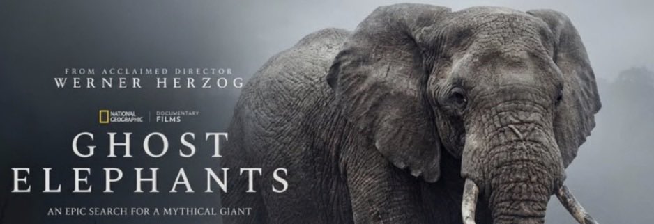 SavvytheRumGod's tweet image. 1 week to go - we are all very early to this