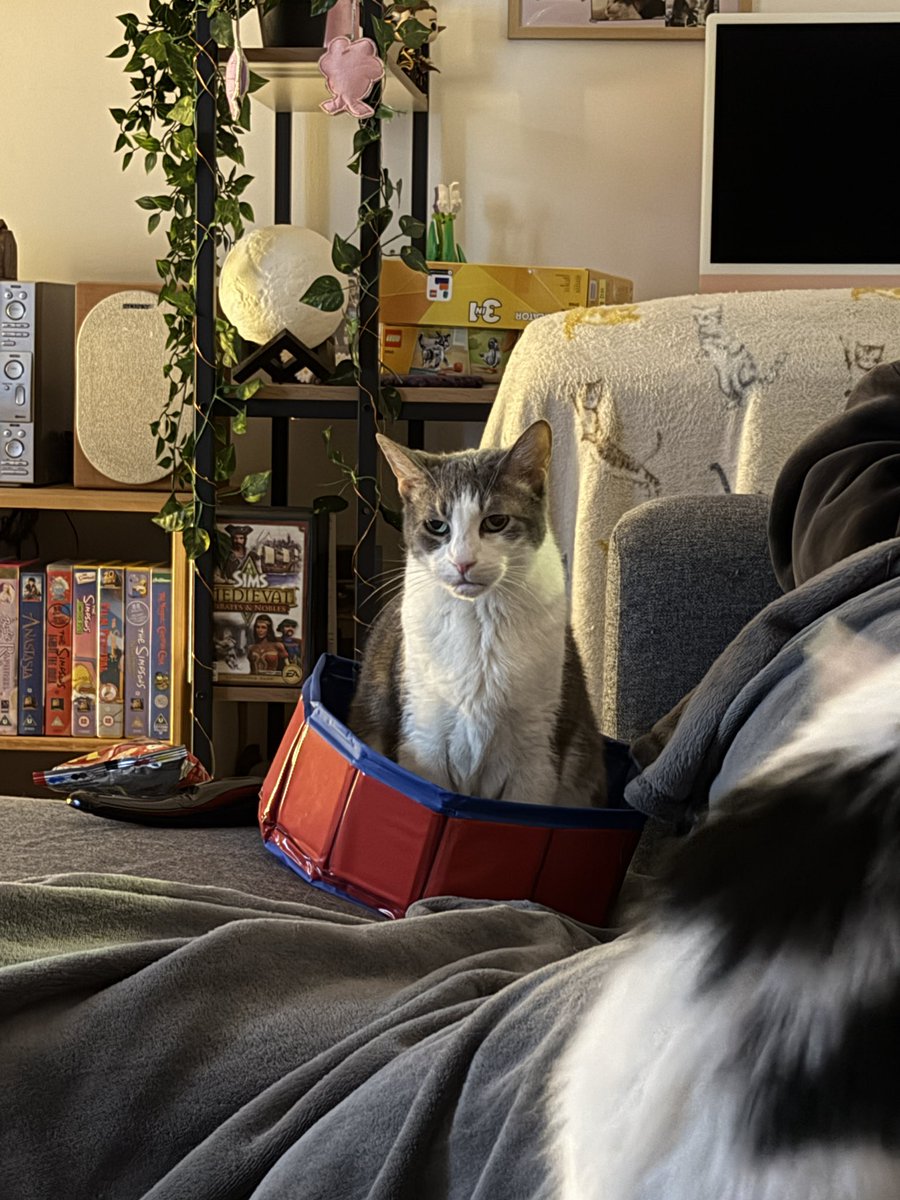 Joseph Marshall tweet media