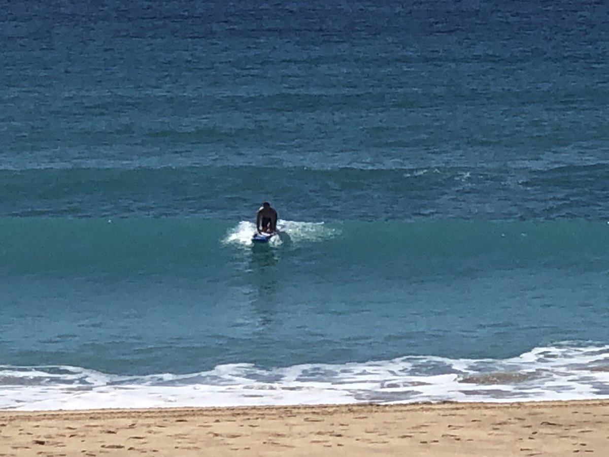 mark obrien tweet media