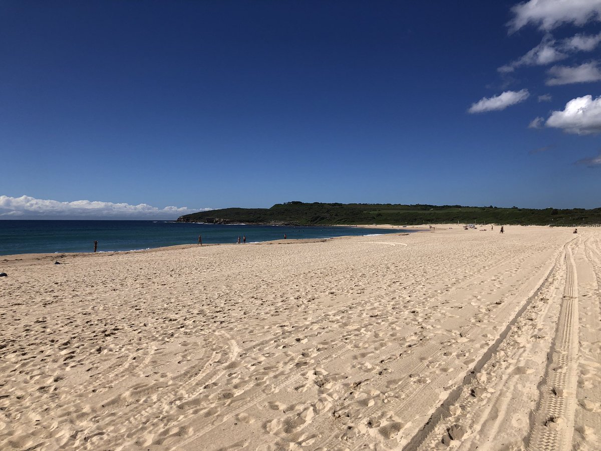 mark obrien tweet media