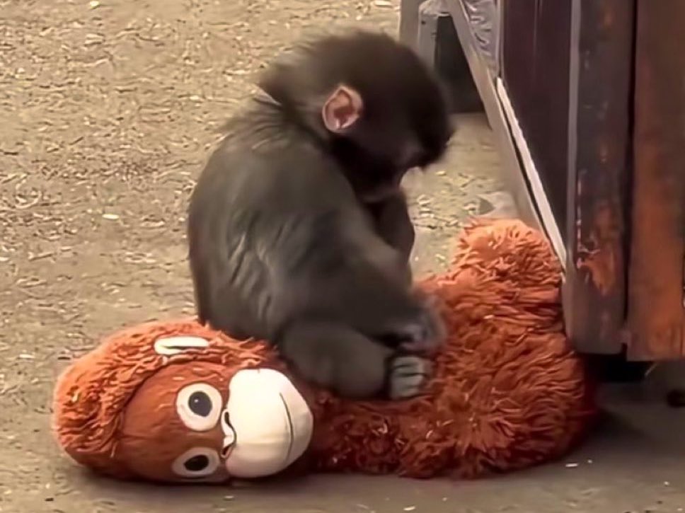 Melih Gökçek’in ömründen alıp sana versin Allah..