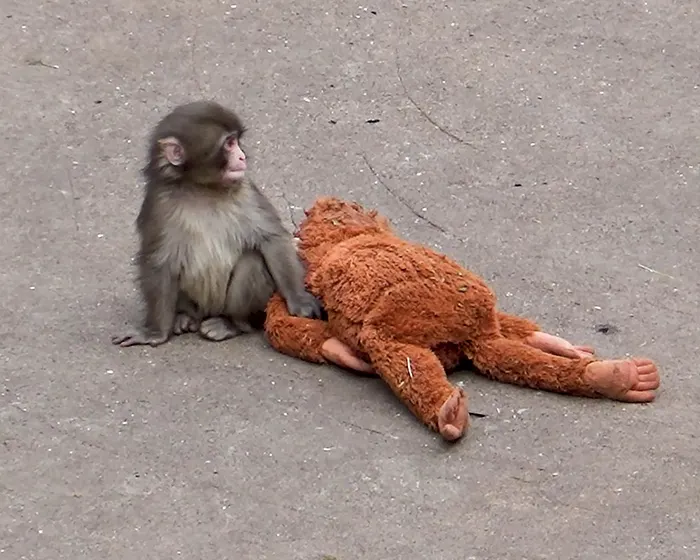 🔻Luda Merino🔻 tweet media