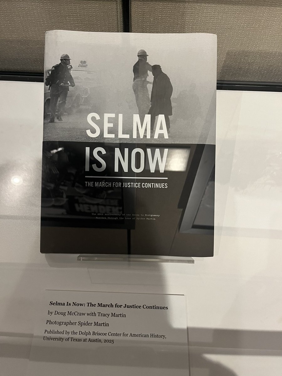 Sara Tribaudino tweet media