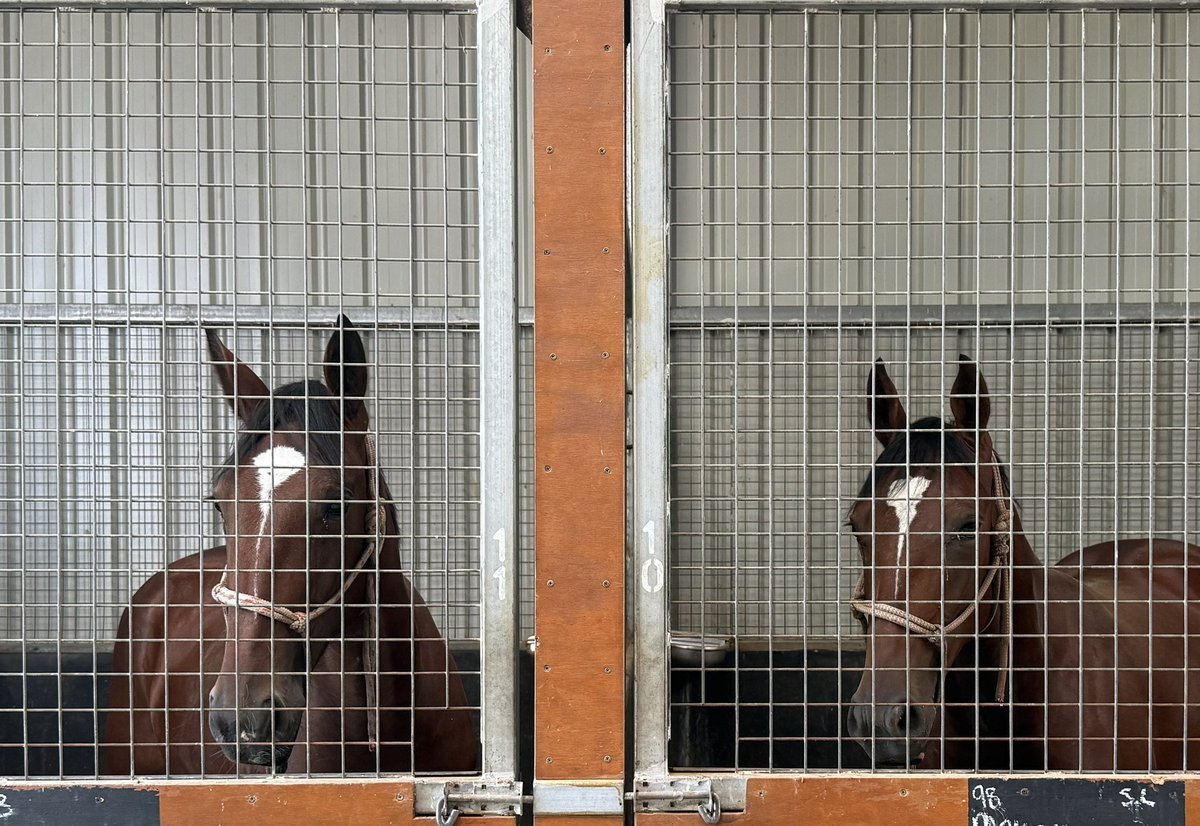 Success Stud tweet media